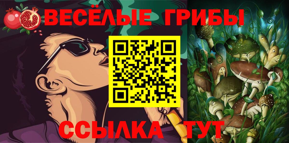 Галлюциногенные грибы Psilocybine cubensis  Вход с VPN  Дальнегорск 