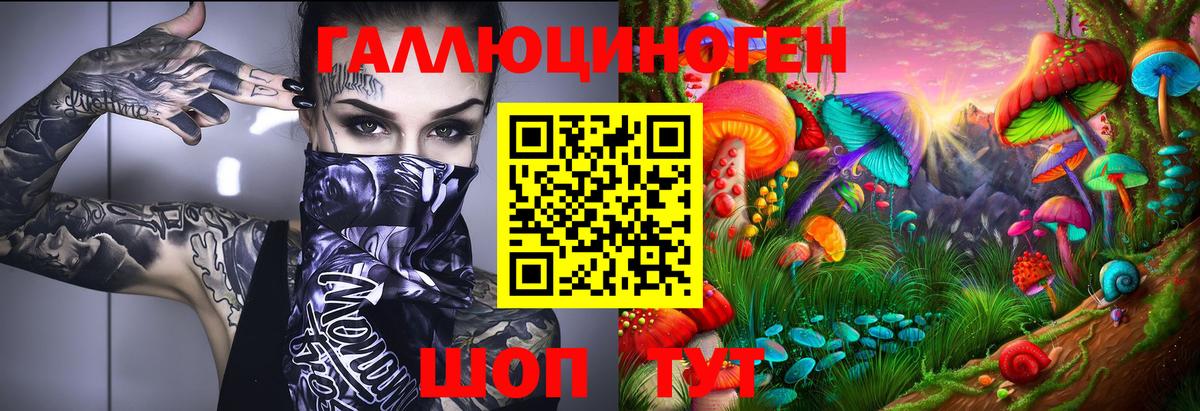 Галлюциногенные грибы мухоморы Дальнегорск